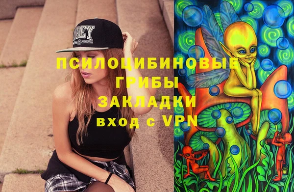 МДПВ Зеленодольск