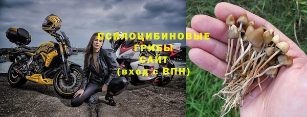 МДПВ Зеленодольск