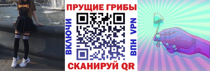 Купить где Назарово Псилоцибиновые грибы прущие грибы